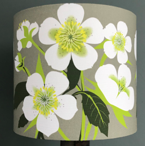 Lampshade, white Hellebore flowers with lime and dark green foliage on a grey background