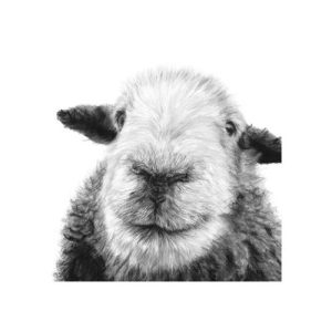 'Aries', signed limited edition print available in two sizes