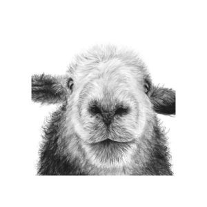 'Dave', signed limited edition print available in two sizes