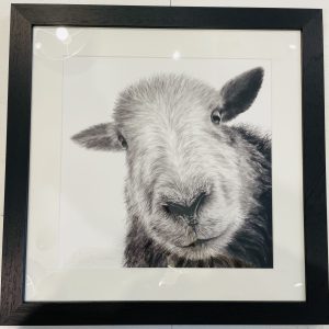 Framed, signed, limited edition "Bonnie" print, available in two sizes