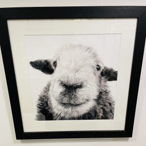 Framed, signed, limited edition "Aries", available in two sizes