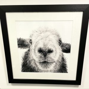 Framed, signed, limited edition "Dave" print