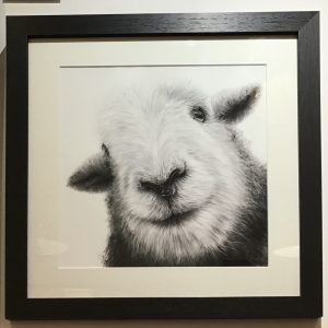 Framed, signed, limited edition "Dorothy" print, available in two sizes