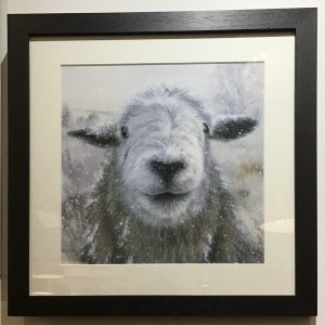 Framed, signed, limited edition "Dahlia" print