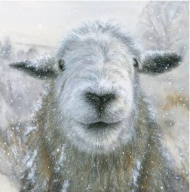 'Dahlia', signed limited edition print available in two sizes