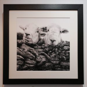 Framed, signed, limited edition "Now You See Us Part 2" framed print, available in two sizes