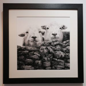 Framed, signed, limited edition "Now You See Us Part.1" framed print, Available in two sizes