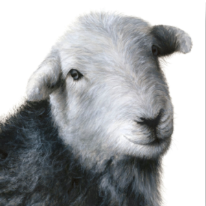 'Ewenice', signed limited edition print available in two sizes