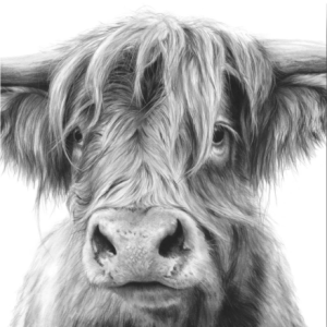 'Morag', signed limited edition print available in two sizes