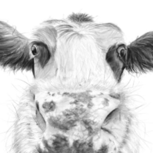 'Gertrude', signed open edition print available in two sizes